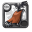 Capeitem Morgana icon