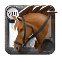 Riding Horse