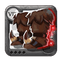 Shoes Plate Keeper icon